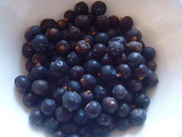 Juniper 30g