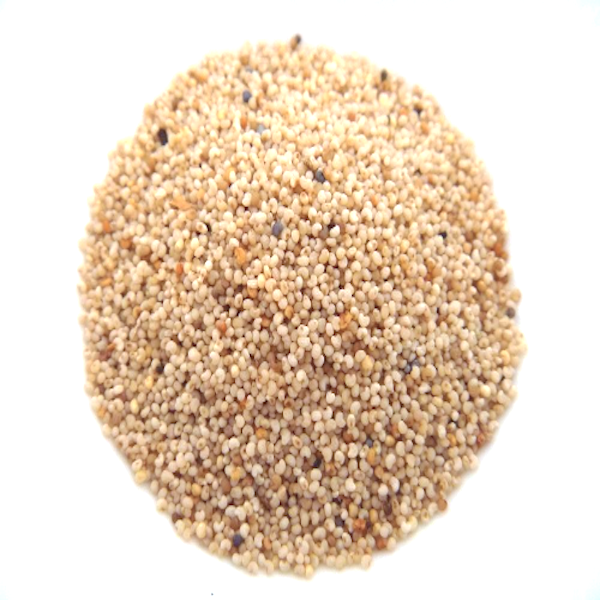 Semillas de Amapola Blancas 30g - savourshop.es